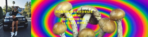 хмурый Абинск